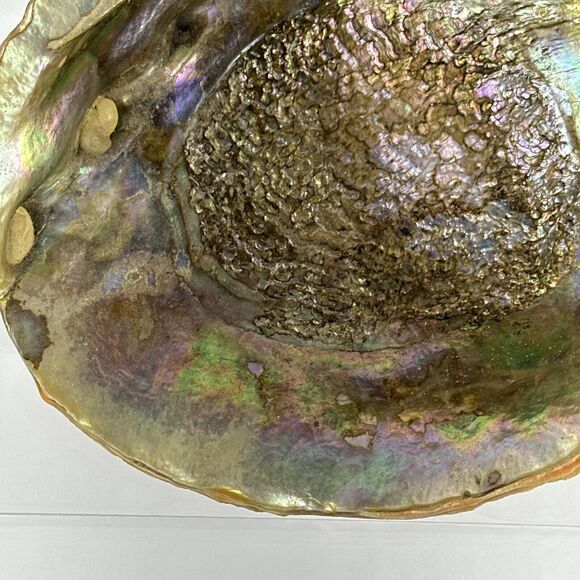 Vintage MCM Large Abalone Shell Footed Bowl Dish Smudge Stick Candy Trinket - Picture 2 of 8